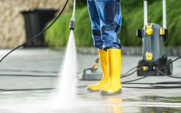 Best Roof Power Washing Services  in Saginaw, MI